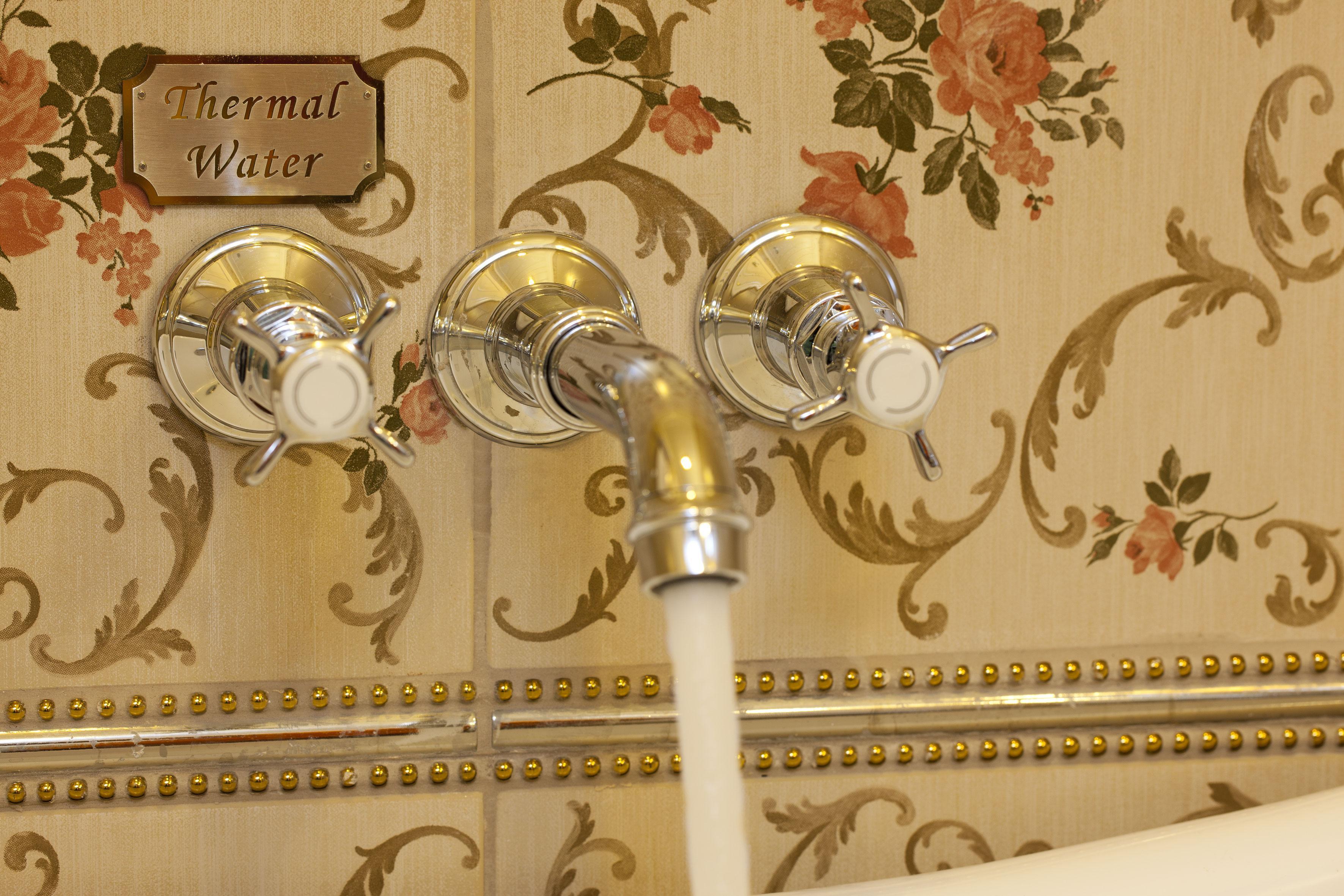 Gokcedere Limak Yalova Thermal Boutique Hotel מראה חיצוני תמונה
